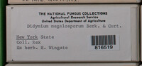Image Associated With the Occurence